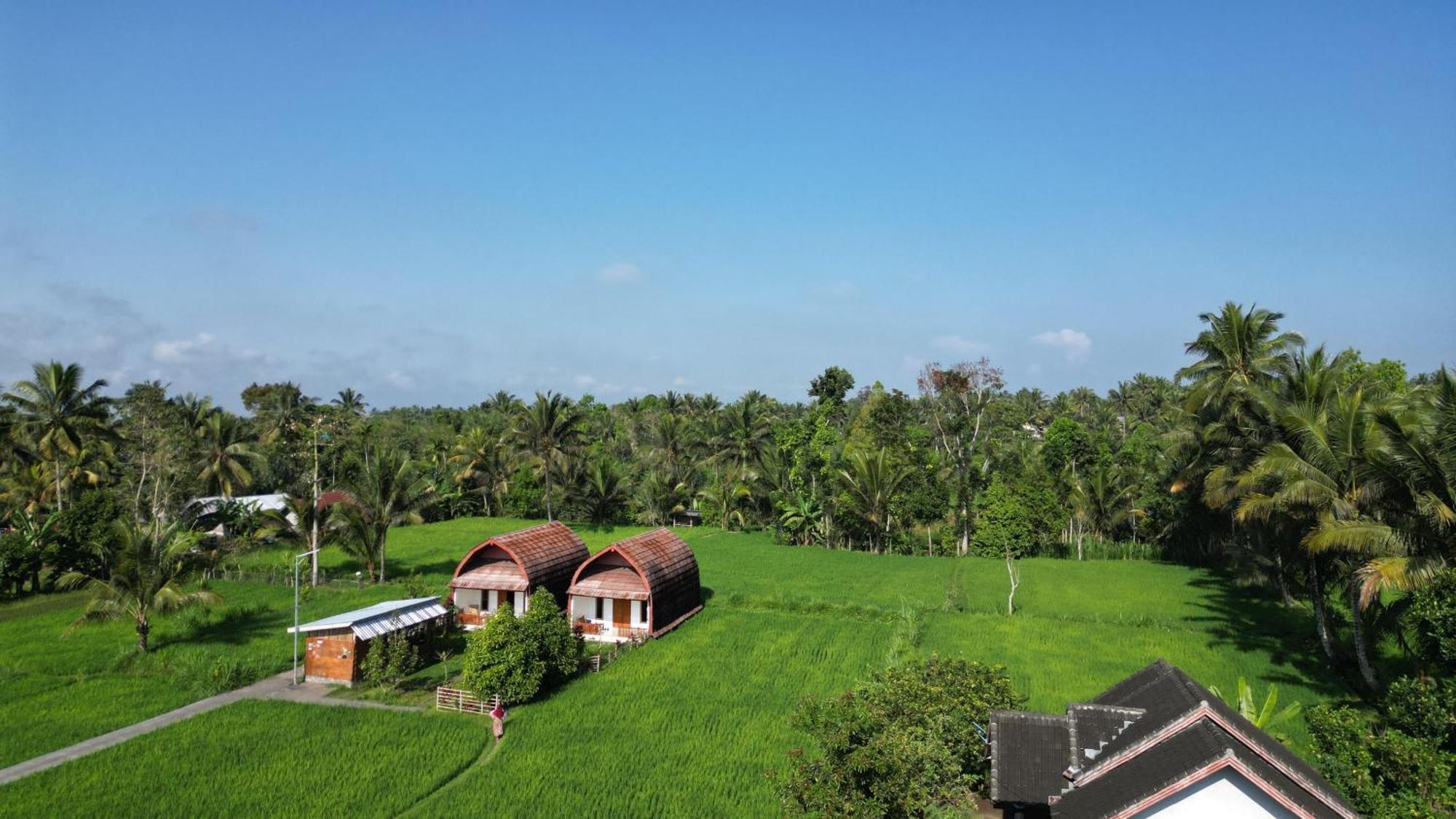 Bale Tetebatu Villa Exteriör bild