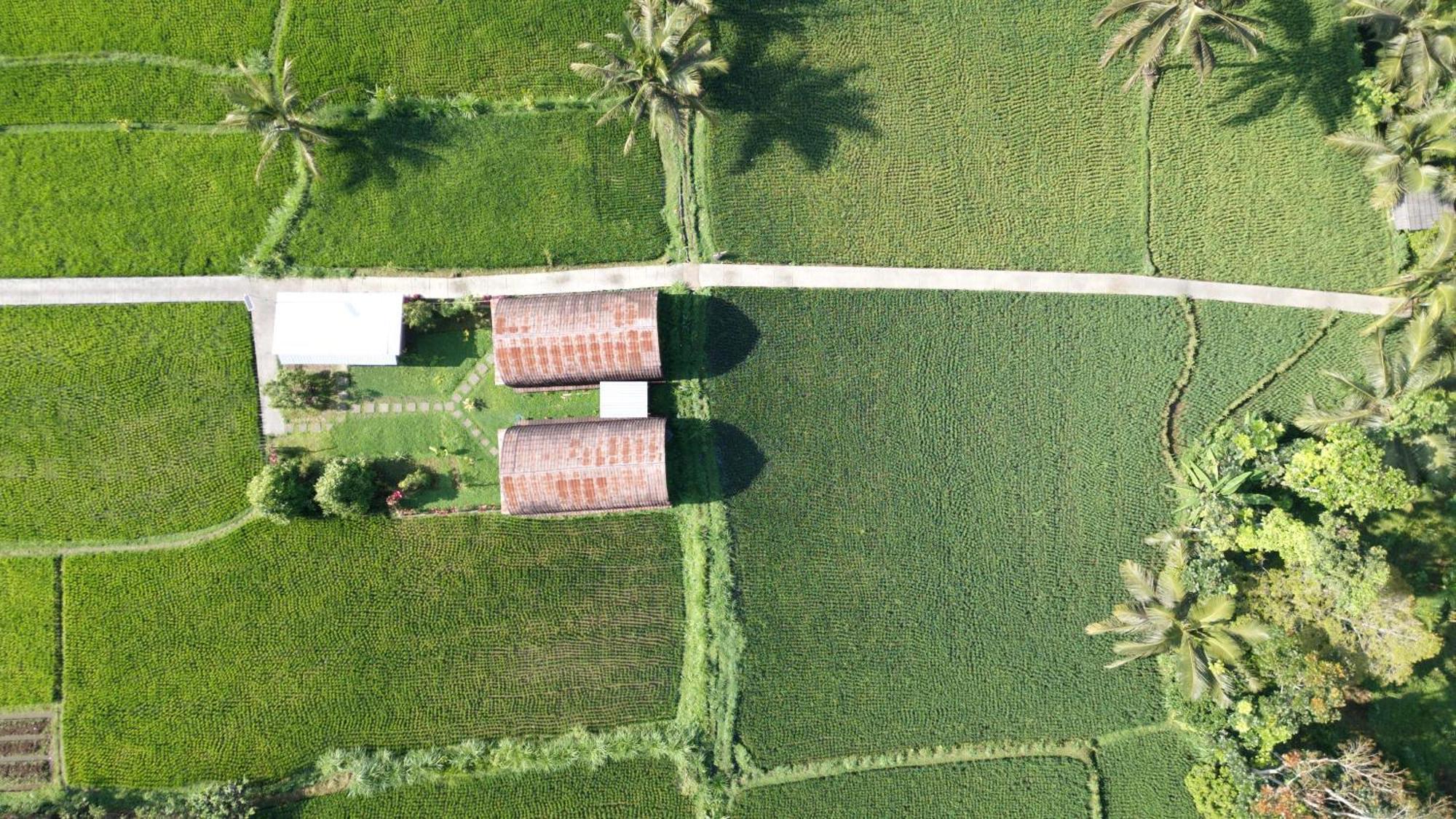 Bale Tetebatu Villa Exteriör bild
