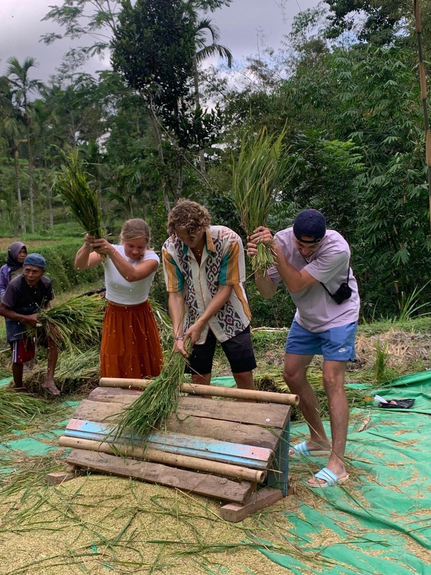 Bale Tetebatu Villa Exteriör bild