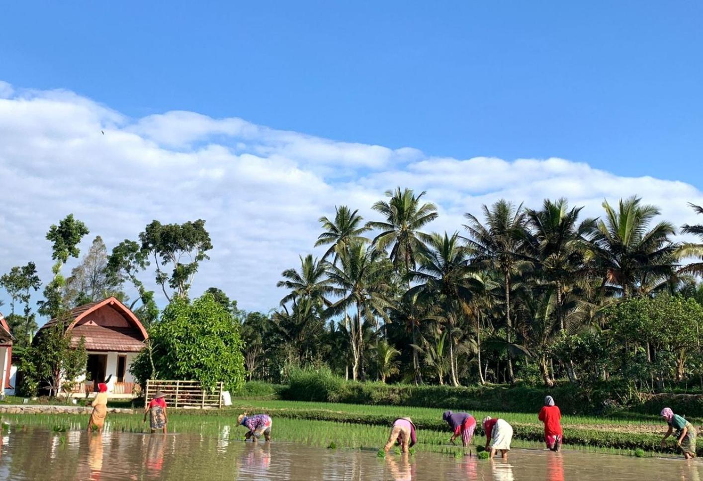 Bale Tetebatu Villa Exteriör bild