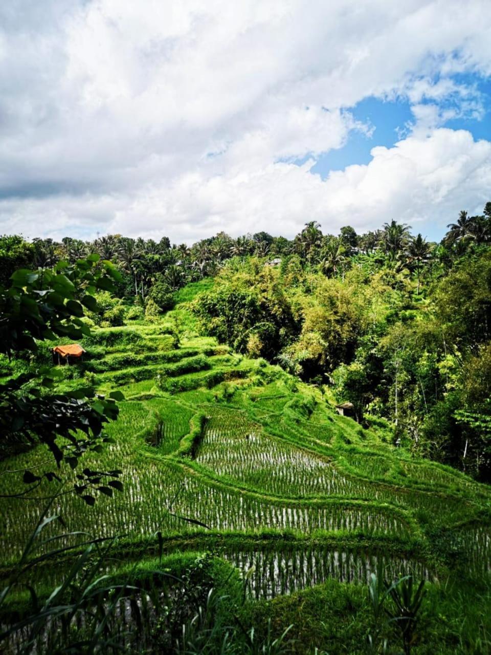 Bale Tetebatu Villa Exteriör bild